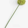 COCOmaison Kunstbloemen En -Planten>Allium spray kunstbloem H90cm - Groen