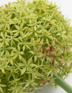 COCOmaison Kunstbloemen En -Planten>Allium spray kunstbloem H90cm - Groen
