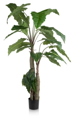 COCOmaison Kunstbloemen En -Planten>Alocasia Giant Tree H180cm kunstplant - Groen