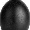 COCOmaison Vervanging Glas>Arjen - vervanging kap D - hoogte 21cm