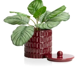 COCOmaison Potten En Bloempotten>Bisko pot H16.5cm - Bordeaux