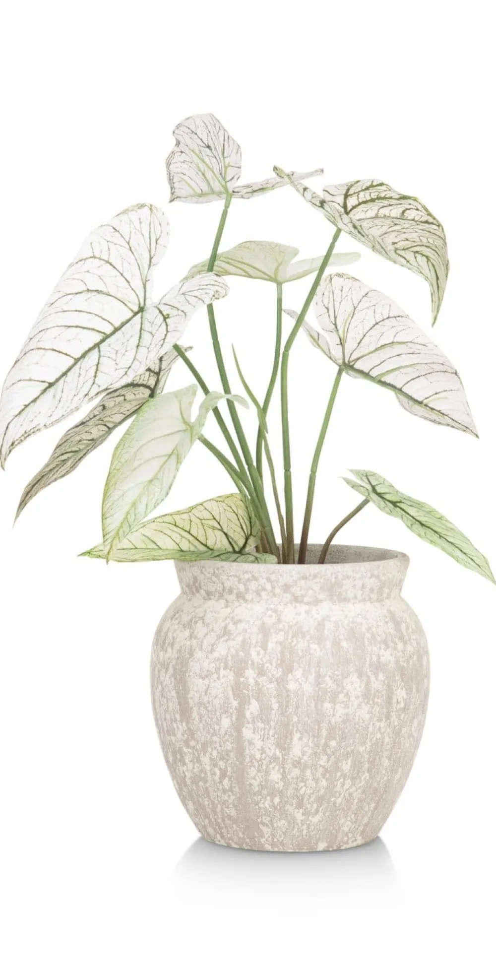 COCOmaison Potten En Bloempotten>Braga pot H25cm - Beige