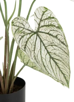COCOmaison Kunstbloemen En -Planten>Caladium H60cm kunstplant - Groen
