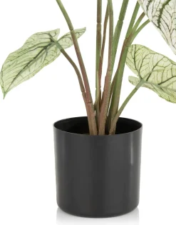 COCOmaison Kunstbloemen En -Planten>Caladium H60cm kunstplant - Groen