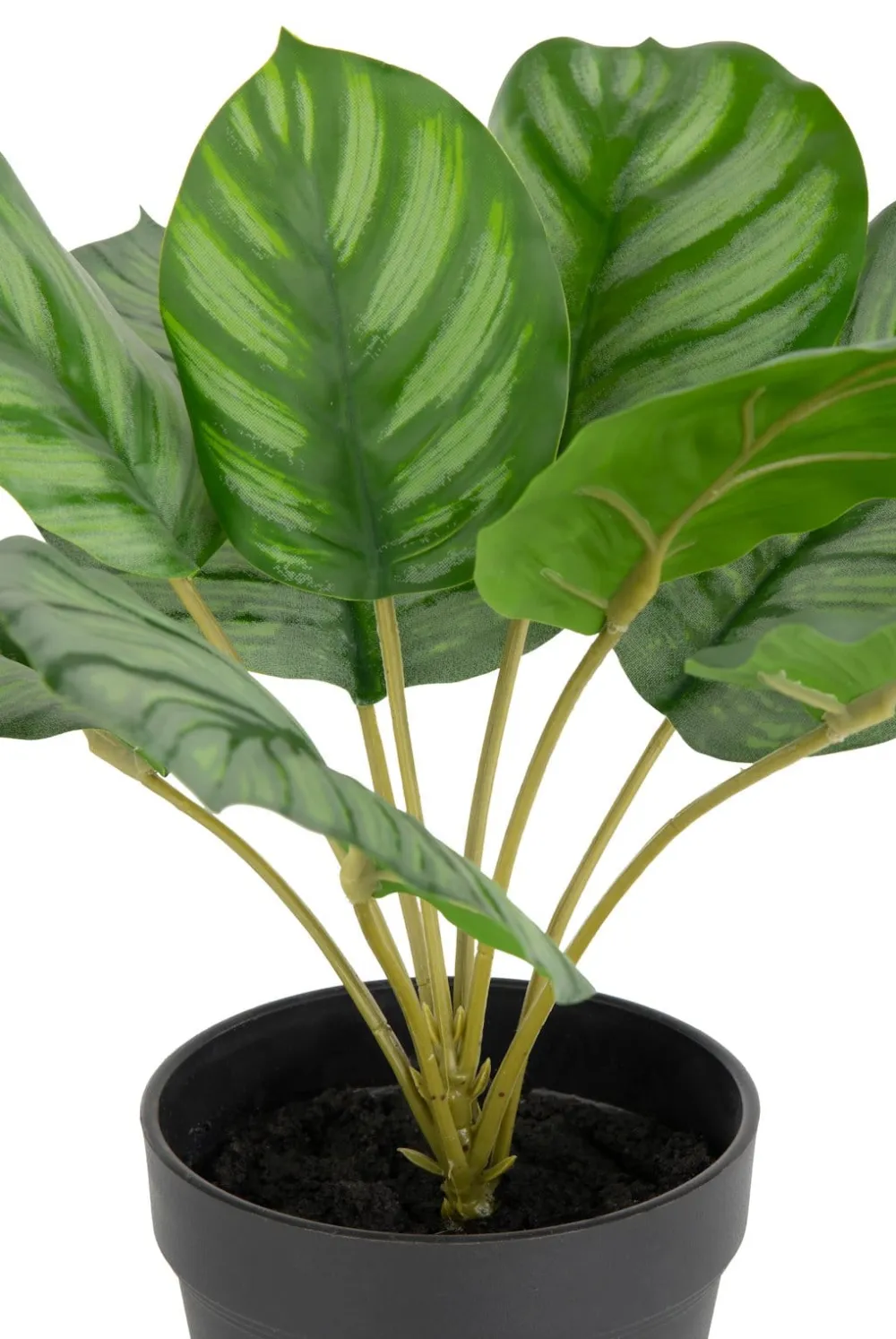 COCOmaison Kunstbloemen En -Planten>Calathea Orbifolia H45cm kunstplant - Groen
