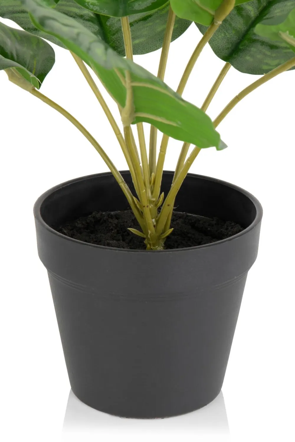 COCOmaison Kunstbloemen En -Planten>Calathea Orbifolia H45cm kunstplant - Groen
