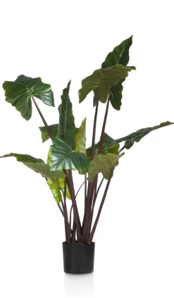 COCOmaison Kunstbloemen En -Planten>Colocasia H130cm - Groen