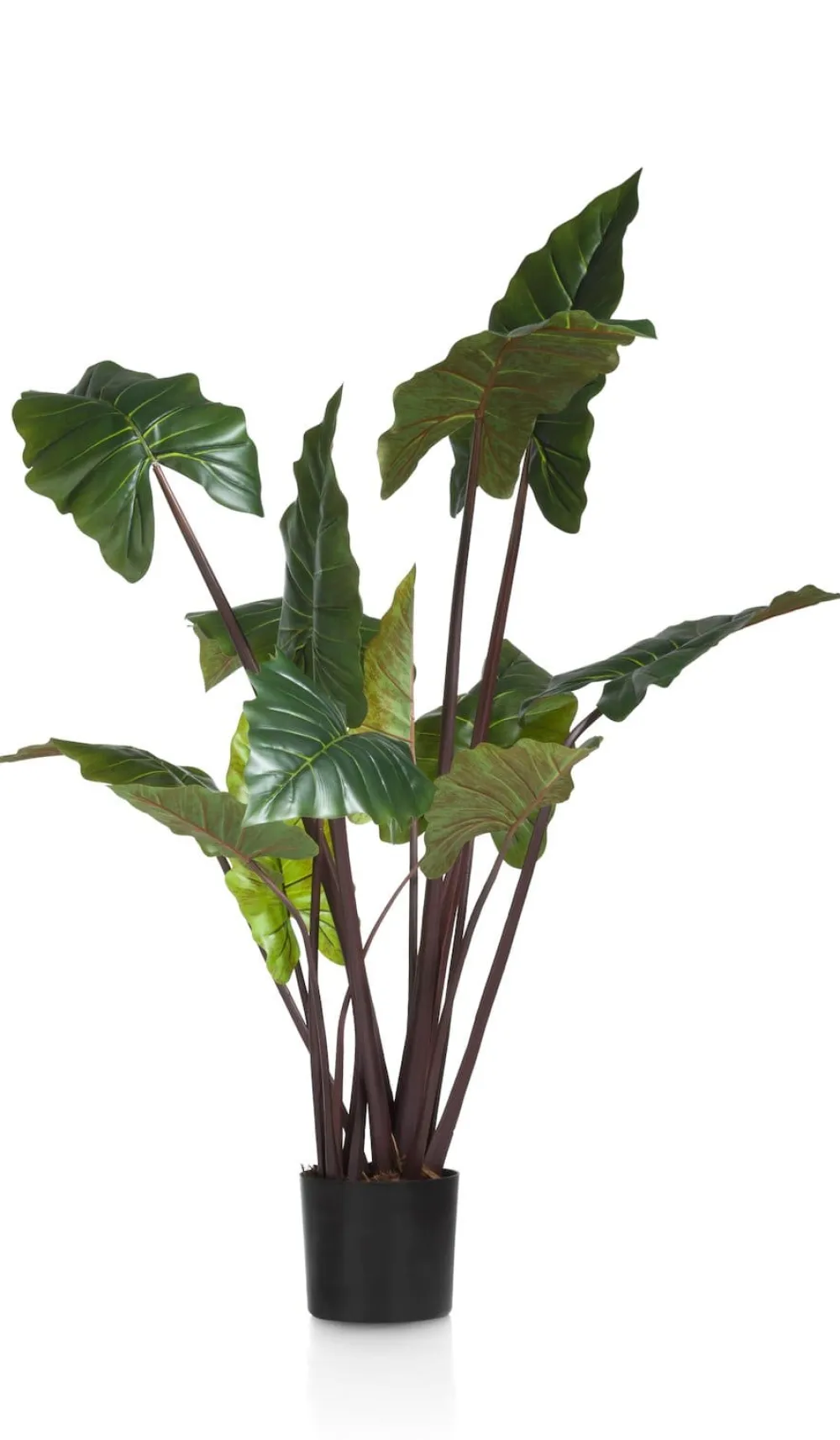 COCOmaison Kunstbloemen En -Planten>Colocasia H130cm - Groen