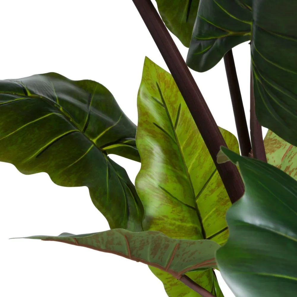COCOmaison Kunstbloemen En -Planten>Colocasia H130cm - Groen