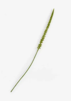 COCOmaison Kunstbloemen En -Planten>Donkey Tail kunstbloem H86cm - Groen