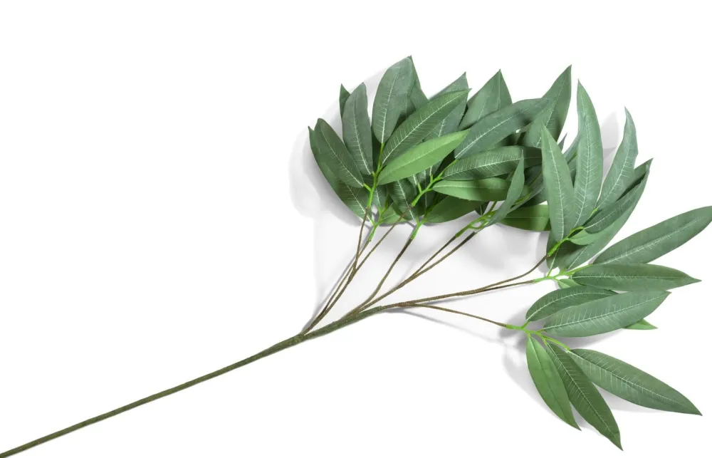 COCOmaison Kunstbloemen En -Planten>Eucalyptus branch H95cm - Groen
