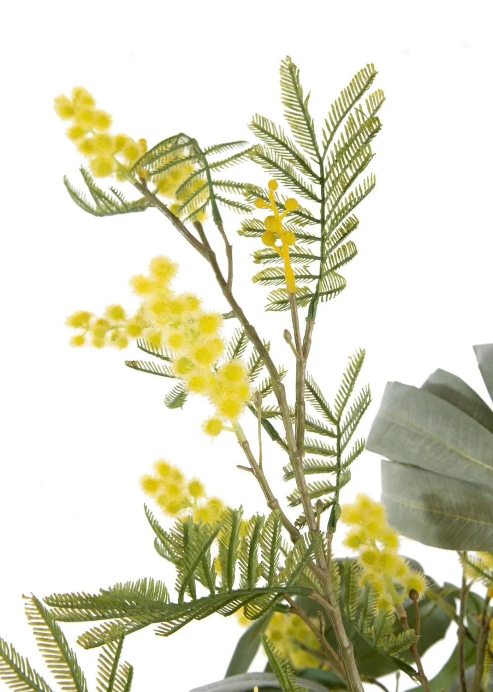 COCOmaison Kunstbloemen En -Planten>Eucalyptus branch H95cm - Groen