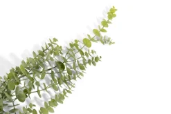COCOmaison Kunstbloemen En -Planten>Eucalyptus Hanging Vine H120cm kunstbloem - Groen