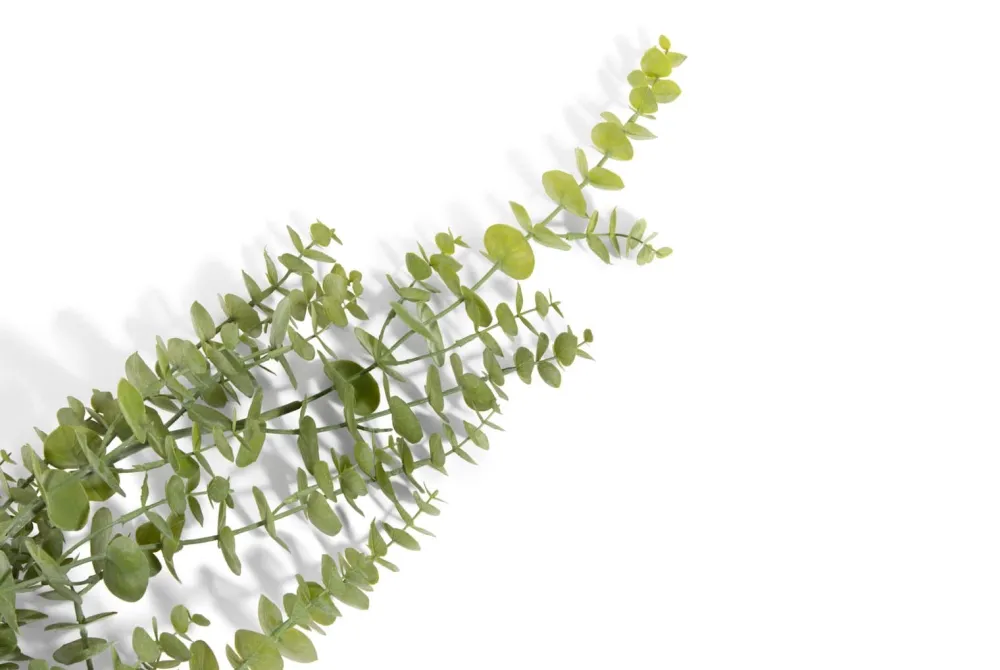 COCOmaison Kunstbloemen En -Planten>Eucalyptus Hanging Vine H120cm kunstbloem - Groen