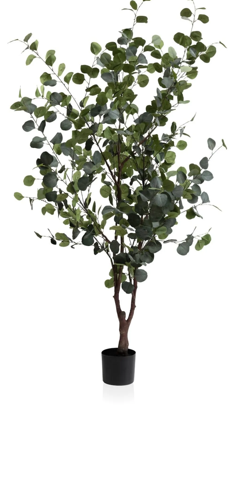 COCOmaison Kunstbloemen En -Planten>Eucalyptus Tree kunstplant H180cm - Groen