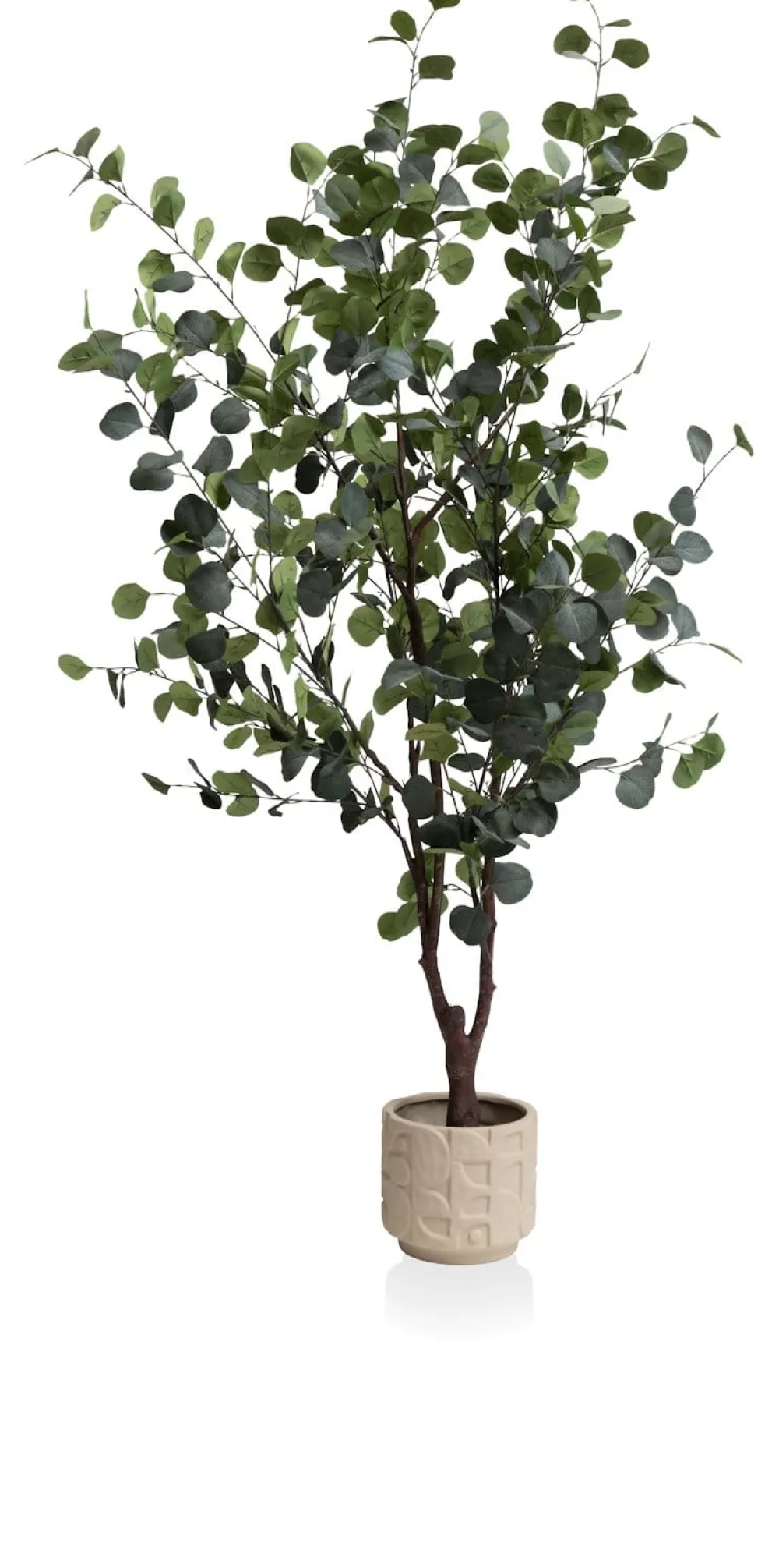 COCOmaison Kunstbloemen En -Planten>Eucalyptus Tree kunstplant H180cm - Groen