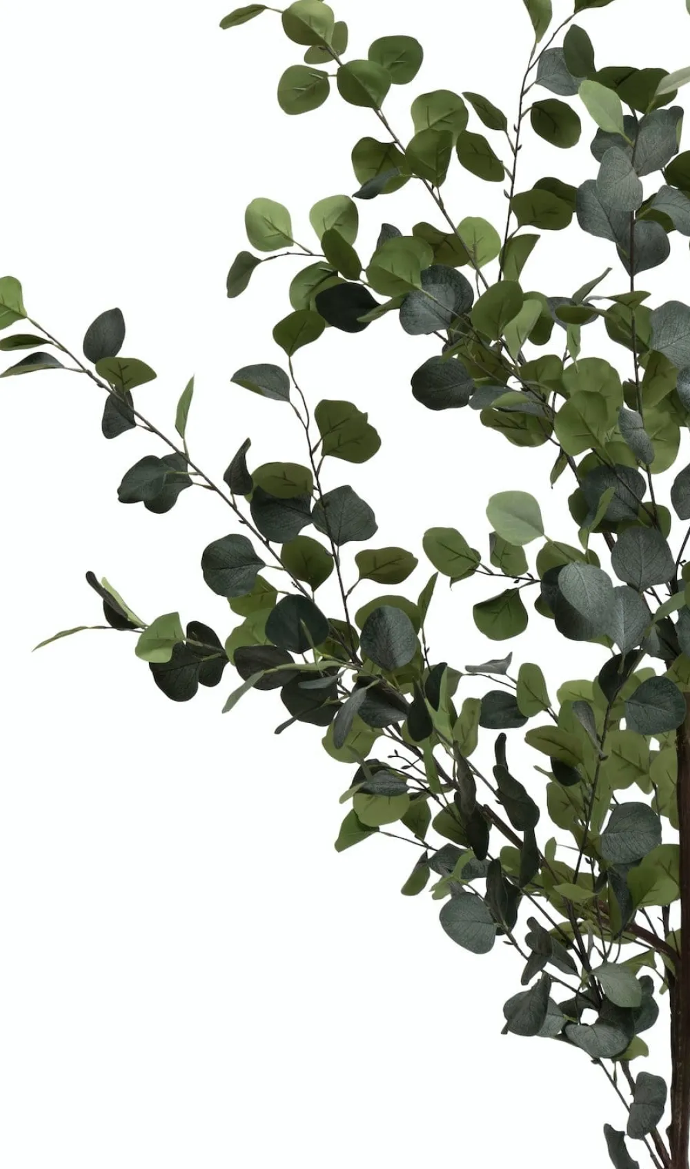 COCOmaison Kunstbloemen En -Planten>Eucalyptus Tree kunstplant H180cm - Groen