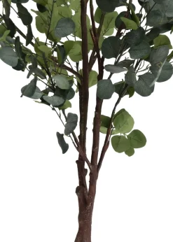 COCOmaison Kunstbloemen En -Planten>Eucalyptus Tree kunstplant H180cm - Groen