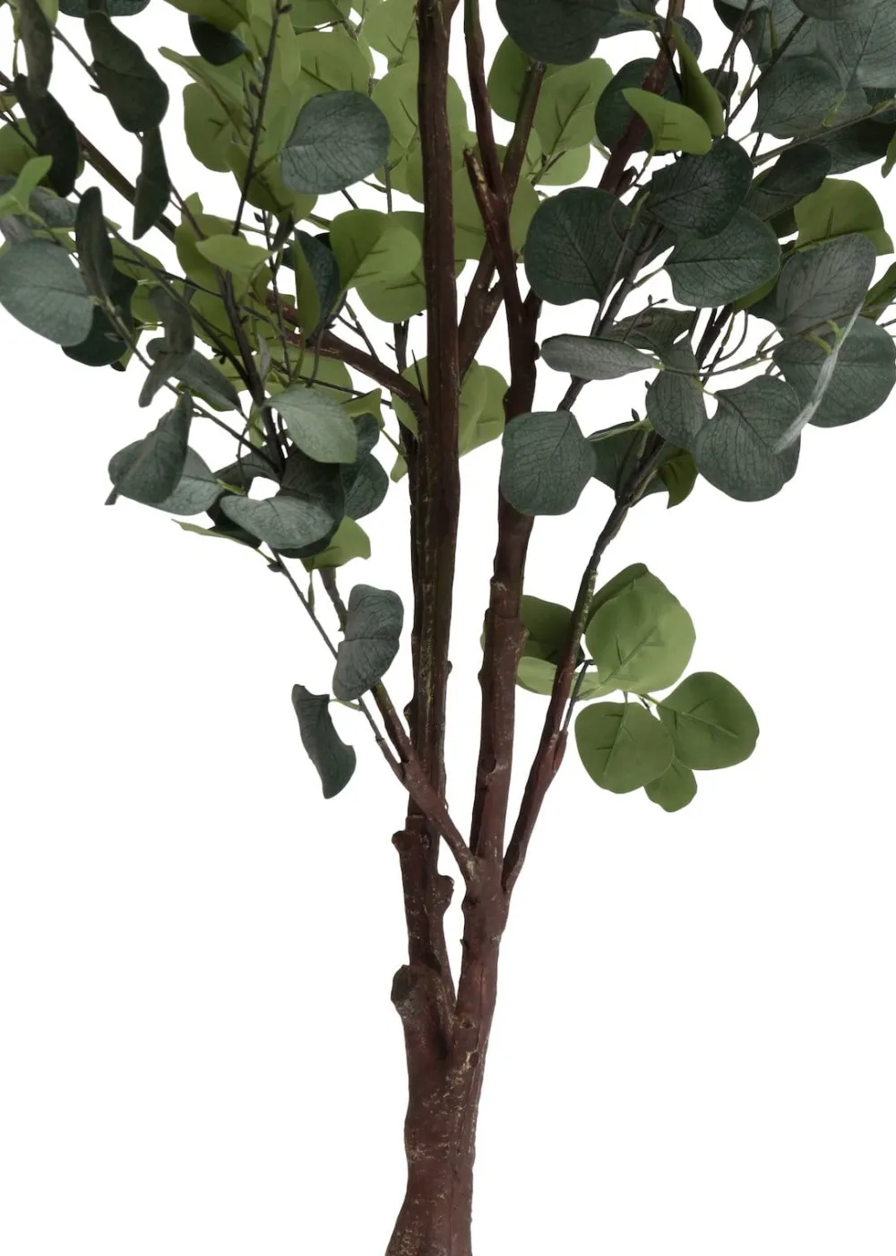 COCOmaison Kunstbloemen En -Planten>Eucalyptus Tree kunstplant H180cm - Groen