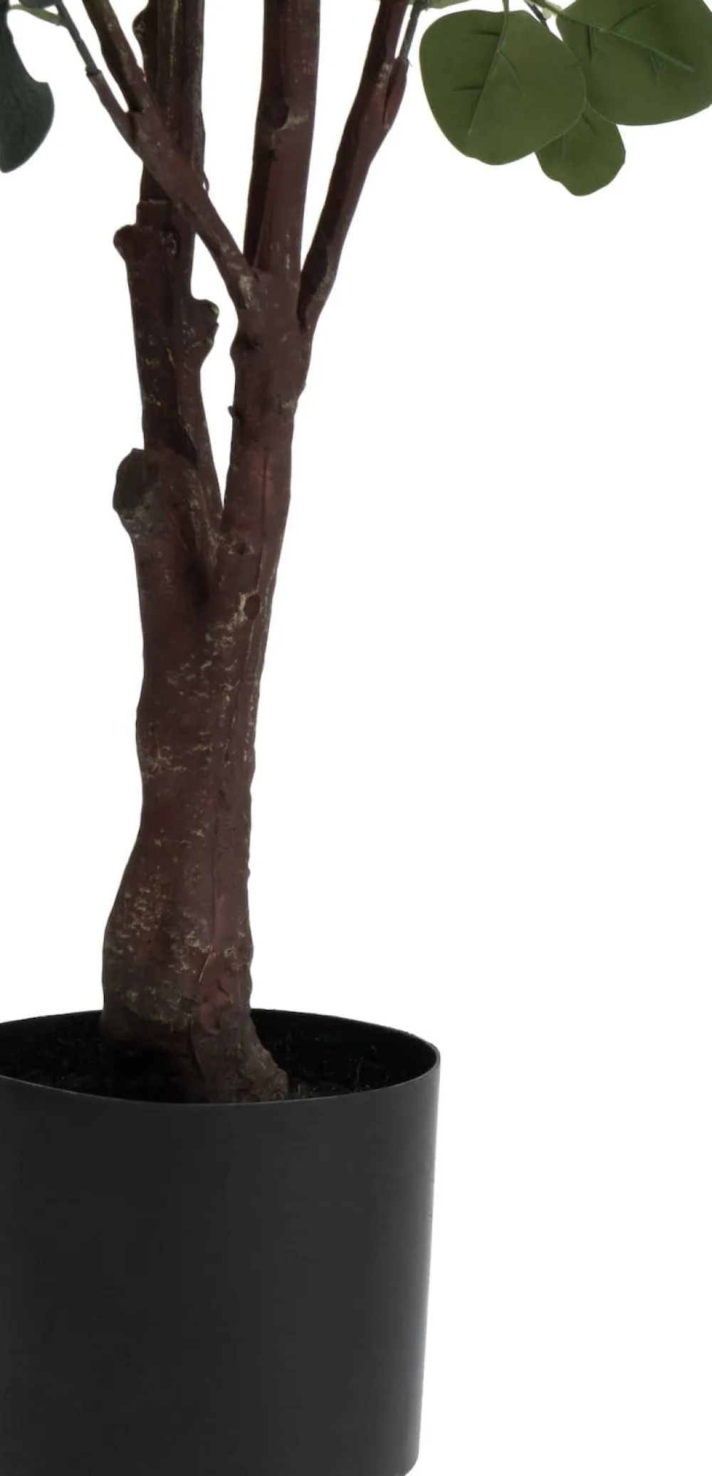 COCOmaison Kunstbloemen En -Planten>Eucalyptus Tree kunstplant H180cm - Groen