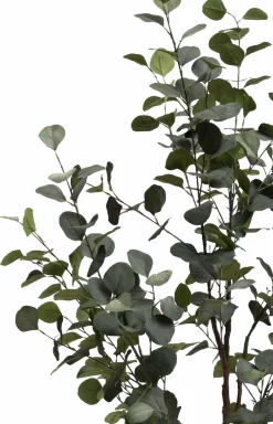 COCOmaison Kunstbloemen En -Planten>Eucalyptus Tree kunstplant H140cm - Groen