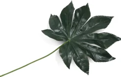 COCOmaison Kunstbloemen En -Planten>Fatsia Leaf kunstbloem H55cm - Groen
