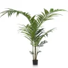 COCOmaison Kunstbloemen En -Planten>Kentia Palm plant H210cm - Groen