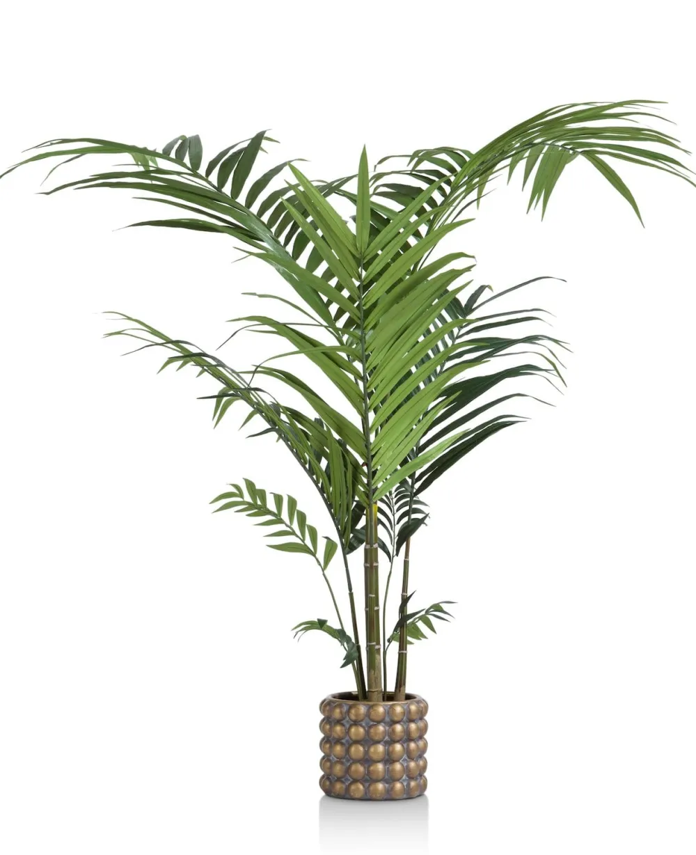 COCOmaison Kunstbloemen En -Planten>Kentia Palm plant H210cm - Groen