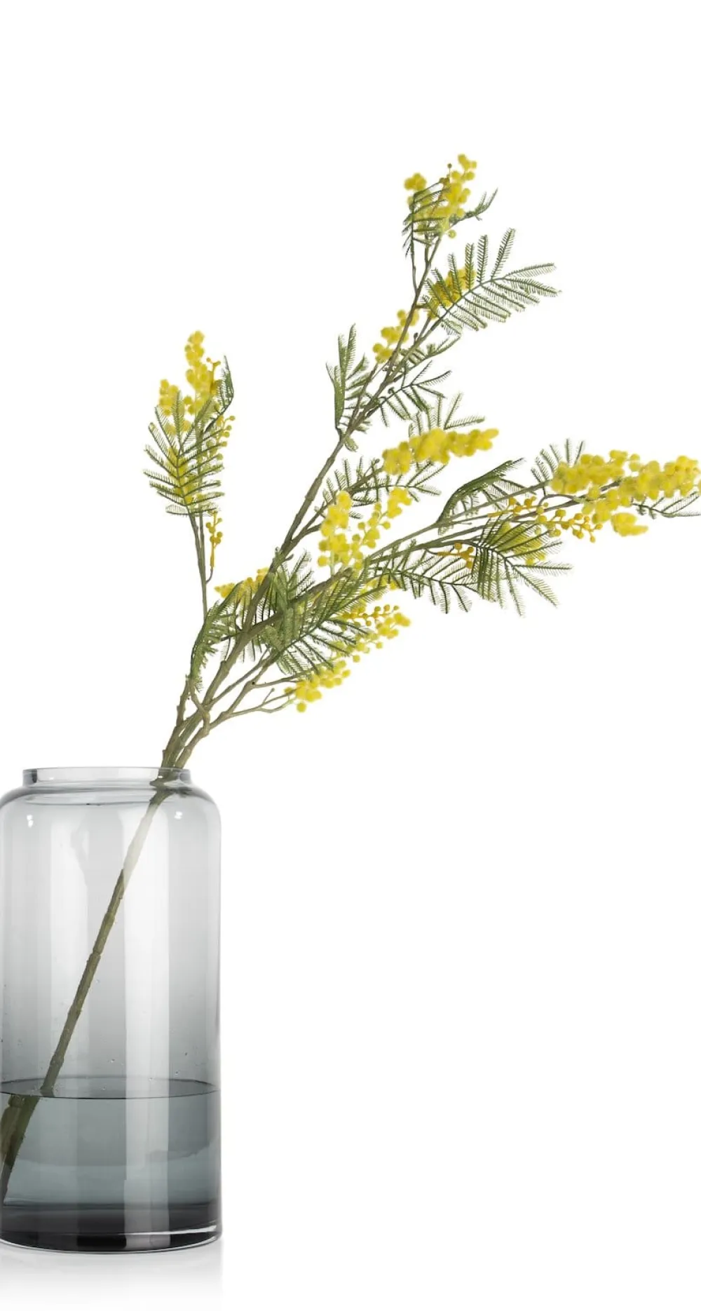 COCOmaison Kunstbloemen En -Planten>Mimosa Branch H110cm kunstbloem - Geel