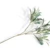 COCOmaison Kunstbloemen En -Planten>Olive Leaf Spray H82cm kunstbloem - Groen