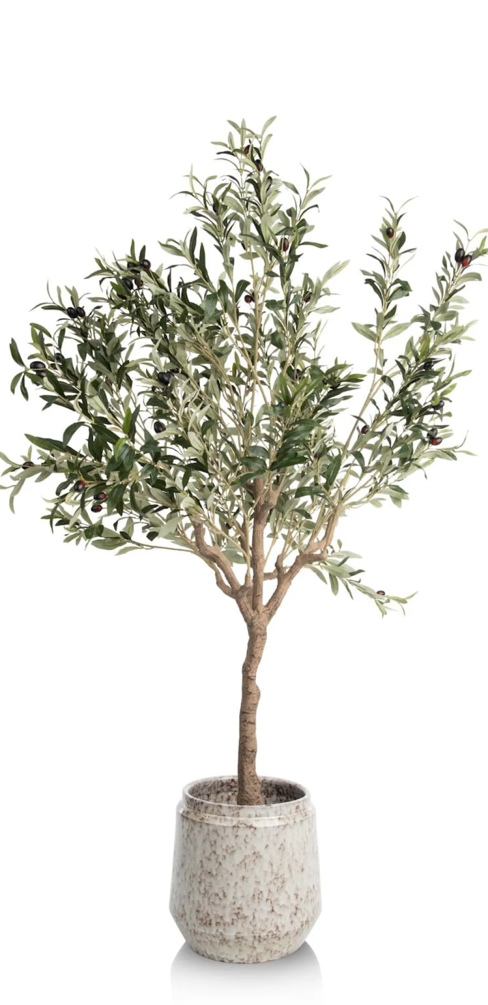 COCOmaison Kunstbloemen En -Planten>Olive Tree H150cm kunstplant - Groen