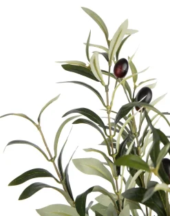 COCOmaison Kunstbloemen En -Planten>Olive Tree H150cm kunstplant - Groen