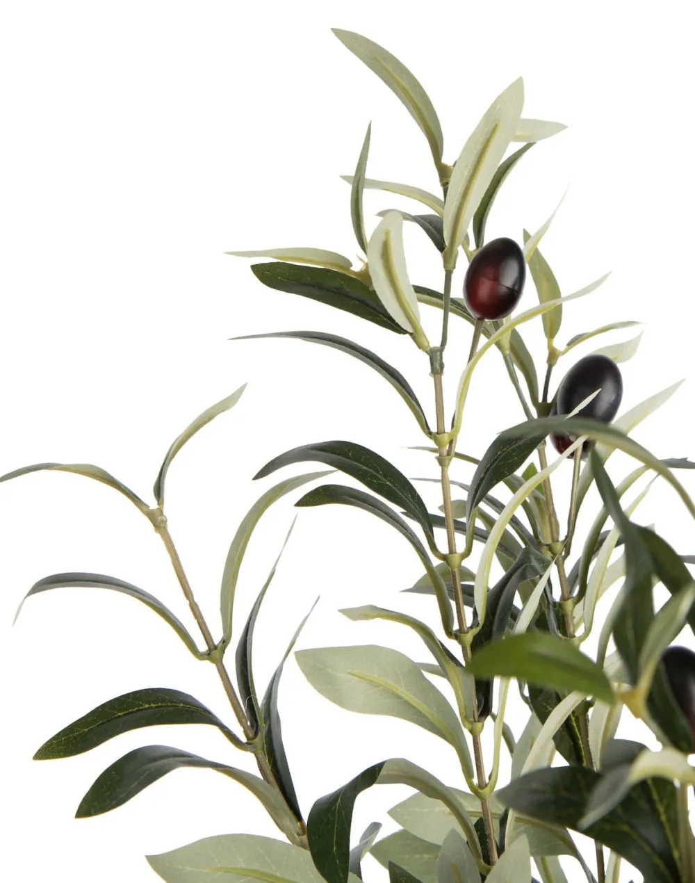 COCOmaison Kunstbloemen En -Planten>Olive Tree H150cm kunstplant - Groen