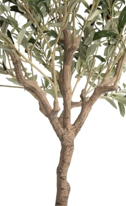 COCOmaison Kunstbloemen En -Planten>Olive Tree H150cm kunstplant - Groen