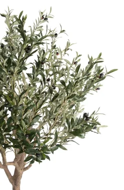 COCOmaison Kunstbloemen En -Planten>Olive Tree H150cm kunstplant - Groen