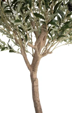 COCOmaison Kunstbloemen En -Planten>Olive Tree H180cm kunstplant - Groen