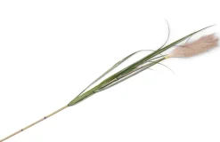COCOmaison Kunstbloemen En -Planten>Pampus Grass kunstbloem H120cm - Groen