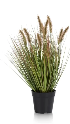 COCOmaison Kunstbloemen En -Planten>Pennisetum Grass plant H58cm - Groen