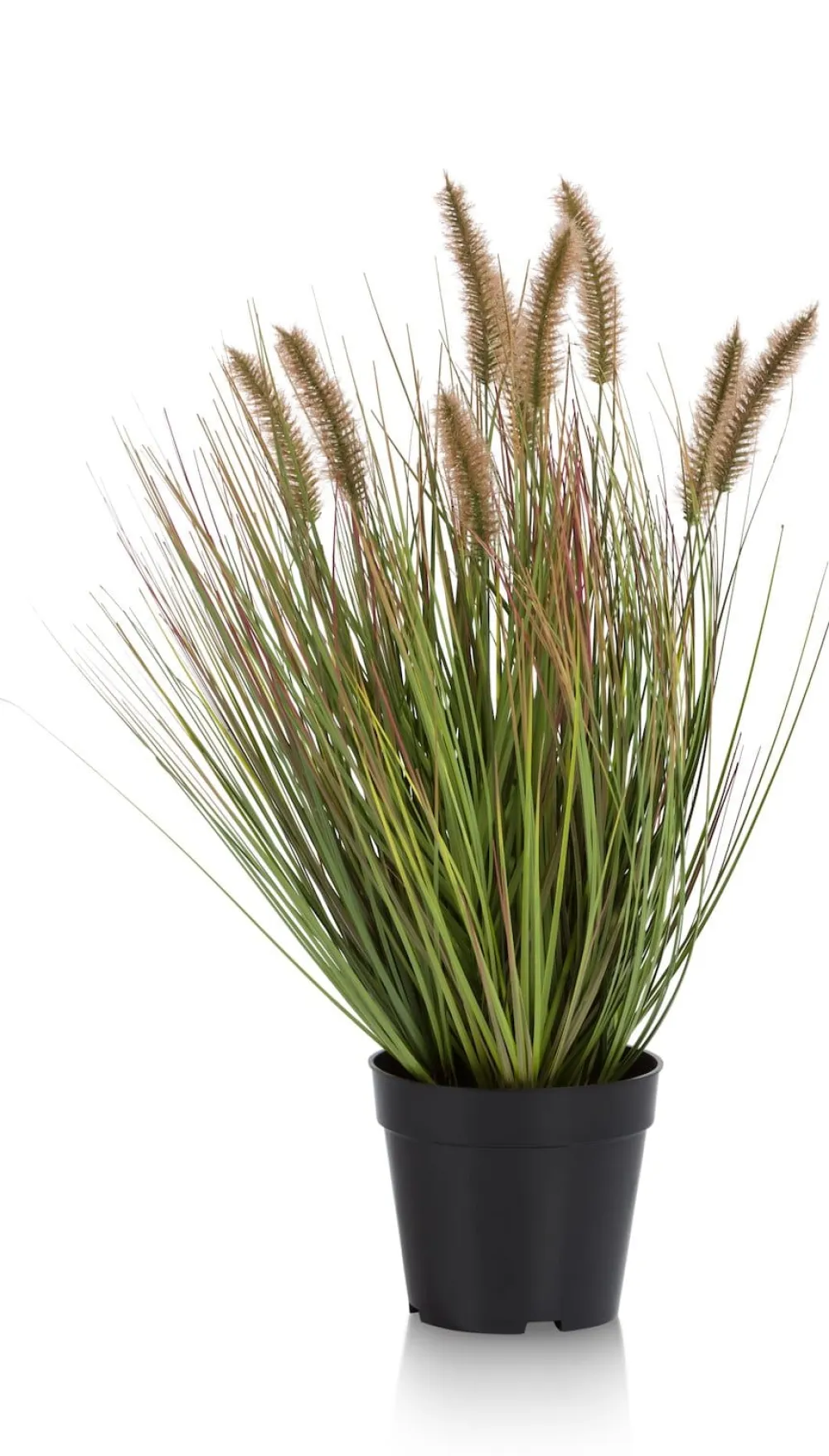 COCOmaison Kunstbloemen En -Planten>Pennisetum Grass plant H58cm - Groen
