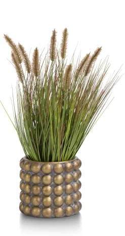 COCOmaison Kunstbloemen En -Planten>Pennisetum Grass plant H58cm - Groen