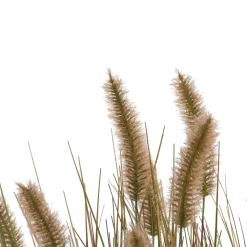 COCOmaison Kunstbloemen En -Planten>Pennisetum Grass plant H58cm - Groen