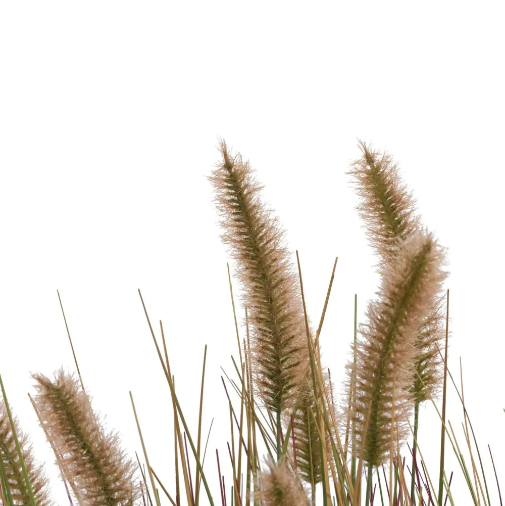COCOmaison Kunstbloemen En -Planten>Pennisetum Grass plant H58cm - Groen