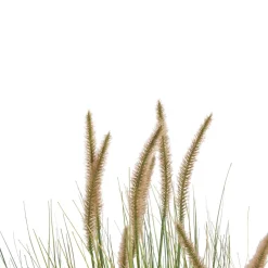 COCOmaison Kunstbloemen En -Planten>Pennisetum Grass plant H99cm - Groen