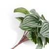 COCOmaison Kunstbloemen En -Planten>Peperomia Bush H25cm kunstbloem - Groen