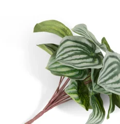 COCOmaison Kunstbloemen En -Planten>Peperomia Bush H25cm kunstbloem - Groen