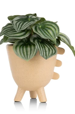 COCOmaison Kunstbloemen En -Planten>Peperomia Bush H25cm kunstbloem - Groen