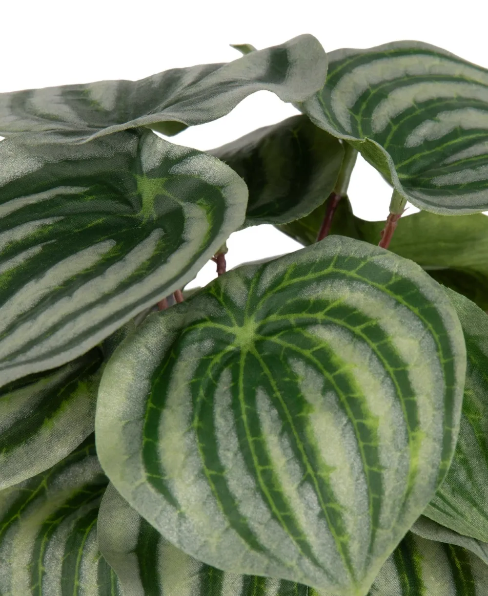 COCOmaison Kunstbloemen En -Planten>Peperomia Bush H25cm kunstbloem - Groen