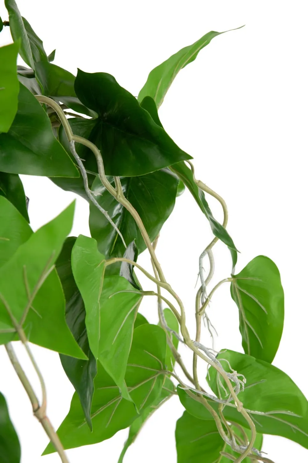 COCOmaison Kunstbloemen En -Planten>Philodendron Scandens H80cm kunstplant - Groen