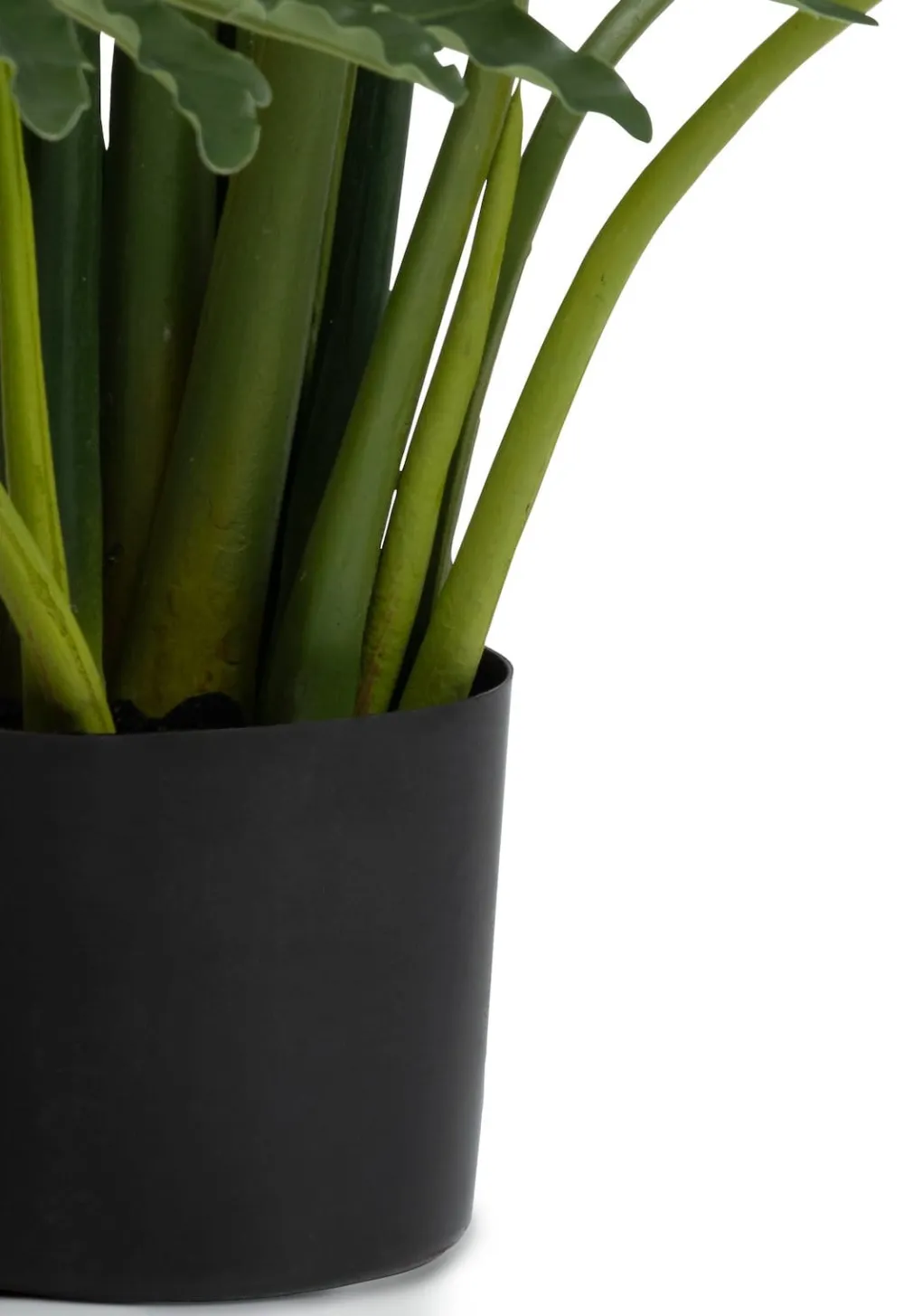 COCOmaison Kunstbloemen En -Planten>Philodendron Selloum kunstplant H125cm - Groen
