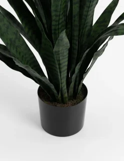 COCOmaison Kunstbloemen En -Planten>Sansevieria kunstplant H115cm - Groen